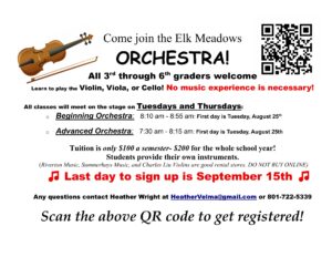 Elk Meadows Orchestra Flyer